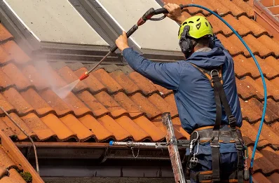 Démoussage et hydrofuge de toiture à Saint-Ovin